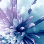 6d4f6c593ceb8a7f