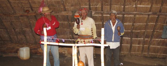 Kemp cobra “mesma” celeridade da Justiça e da Polícia para os crimes contra os índios