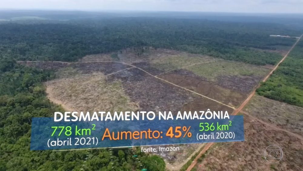 Dia do Meio Ambiente – Brasil com a marca do retrocesso