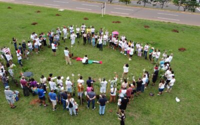 Mudas de ipês marcam 75 anos da Declaração dos Direitos Humanos