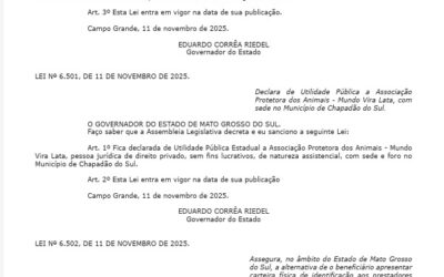 60+: MS tem lei que garante o uso de carteira física nos planos de saúde